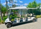 buggy-8
